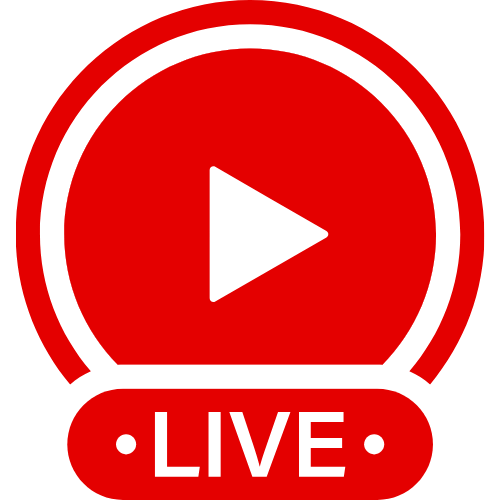 Stripchat Island | Live Webcam Shows & Interactive Adult Entertainment